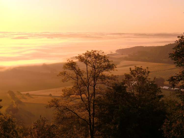 morgens liegt noch Nebel über dem Land (Bitte hier klicken um dieses Bild in seiner vollen Größe zu betrachten)