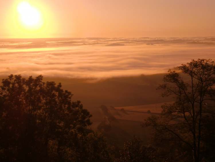 Sonne über Nebel (Bitte hier klicken um dieses Bild in seiner vollen Größe zu betrachten)