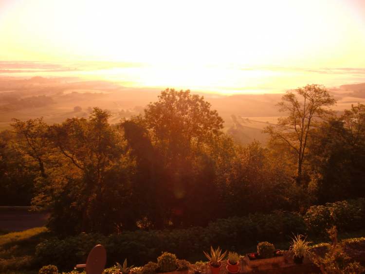 morgens von der Sonne beleuchtet (Bitte hier klicken um dieses Bild in seiner vollen Größe zu betrachten)