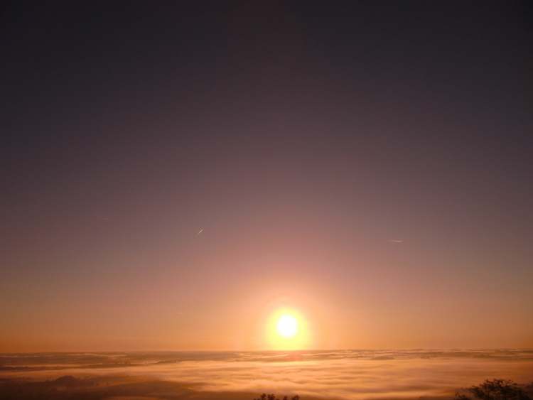 Nebeliger Sonnenaufgang (Bitte hier klicken um dieses Bild in seiner vollen Größe zu betrachten)