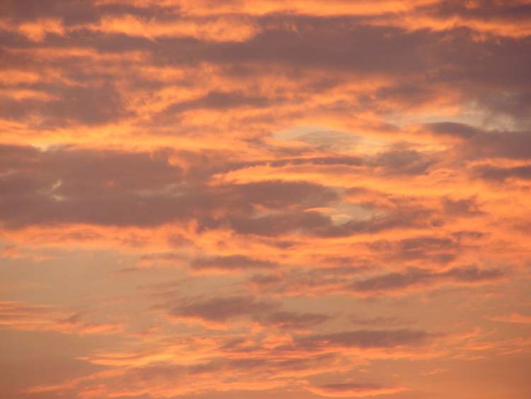 Wolken vom Sonnenaufgang beschienen (Bitte hier klicken um dieses Bild in seiner vollen Größe zu betrachten)