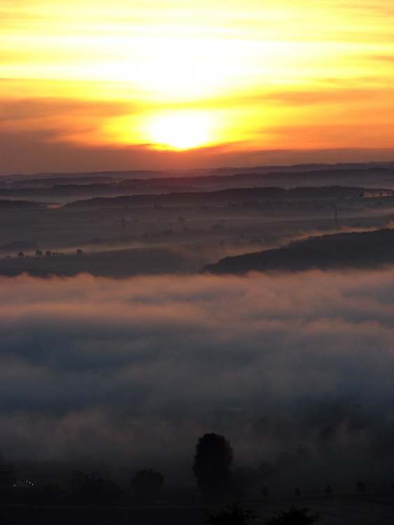 Nebelbank und Sonnenaufgang (Bitte hier klicken um dieses Bild in seiner vollen Größe zu betrachten)