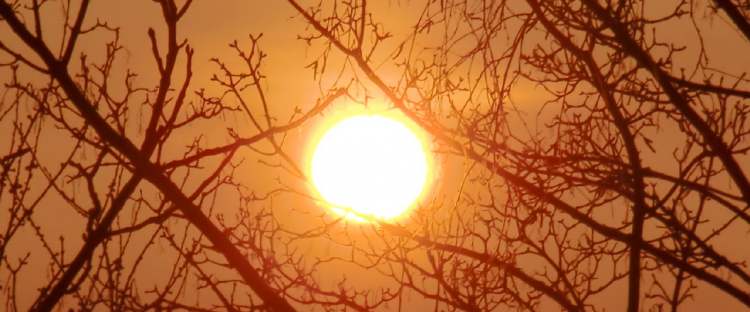 Sonnenaufgang am frühen Morgen (Bitte hier klicken um dieses Bild in seiner vollen Größe zu betrachten)