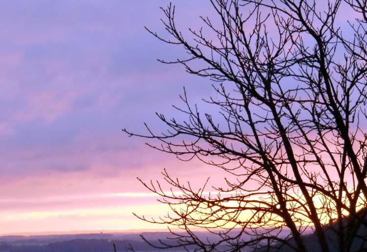 Sonnenaufgangsstimmung am Morgen (Bitte hier klicken um dieses Bild in seiner vollen Größe zu betrachten)