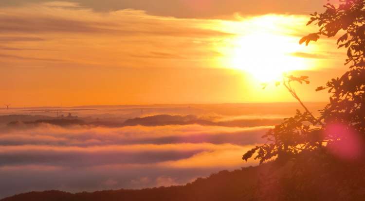 Waldenburg Aussicht Morgennebel 06b (Bitte hier klicken um dieses Bild in seiner vollen Größe zu betrachten)
