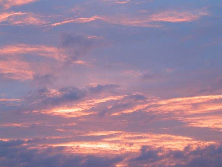Sonnenaufgangswolken (Bitte hier klicken um dieses Bild in seiner vollen Größe zu betrachten)