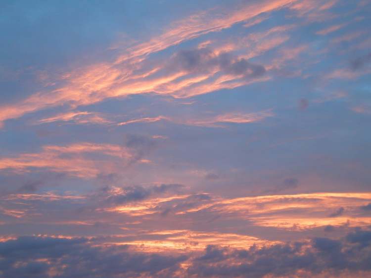Wolken bei Sonnenaufgang (Bitte hier klicken um dieses Bild in seiner vollen Größe zu betrachten)