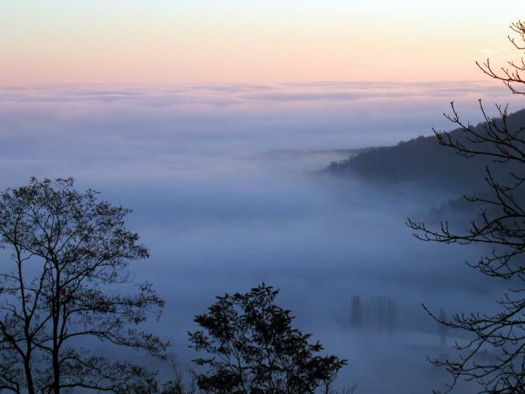 Morgentlicher Nebel über Hohenlohe (Bitte hier klicken um dieses Bild in seiner vollen Größe zu betrachten)