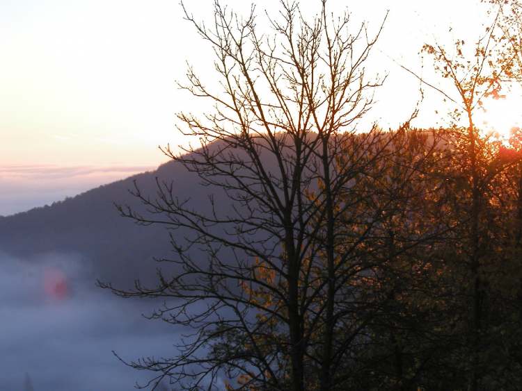Sonne und Nebel im Tal (Bitte hier klicken um dieses Bild in seiner vollen Größe zu betrachten)