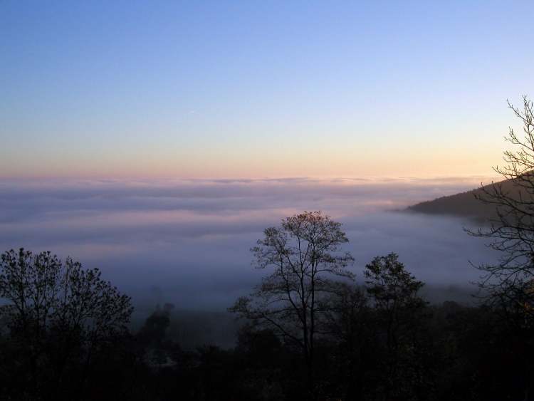 Morgentlicher Nebel (Bitte hier klicken um dieses Bild in seiner vollen Größe zu betrachten)