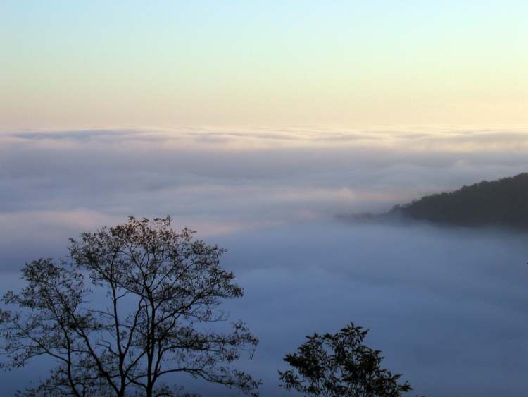 Morgentlicher Nebel umflutet den Berg (Bitte hier klicken um dieses Bild in seiner vollen Größe zu betrachten)