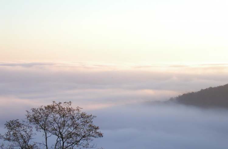 Nebelwolken (Bitte hier klicken um dieses Bild in seiner vollen Größe zu betrachten)