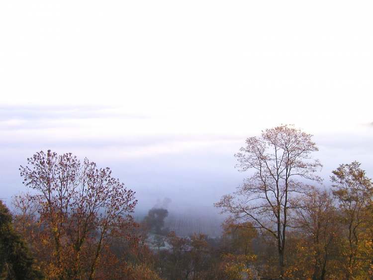 Morgentlicher Herbstnebel (Bitte hier klicken um dieses Bild in seiner vollen Größe zu betrachten)