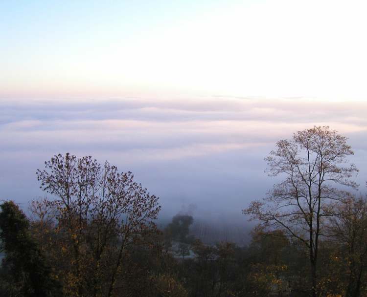 Herbstlicher Nebel (Bitte hier klicken um dieses Bild in seiner vollen Größe zu betrachten)