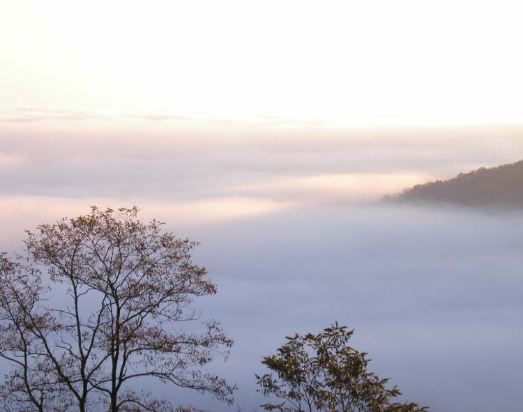 Nebel über allem (Bitte hier klicken um dieses Bild in seiner vollen Größe zu betrachten)