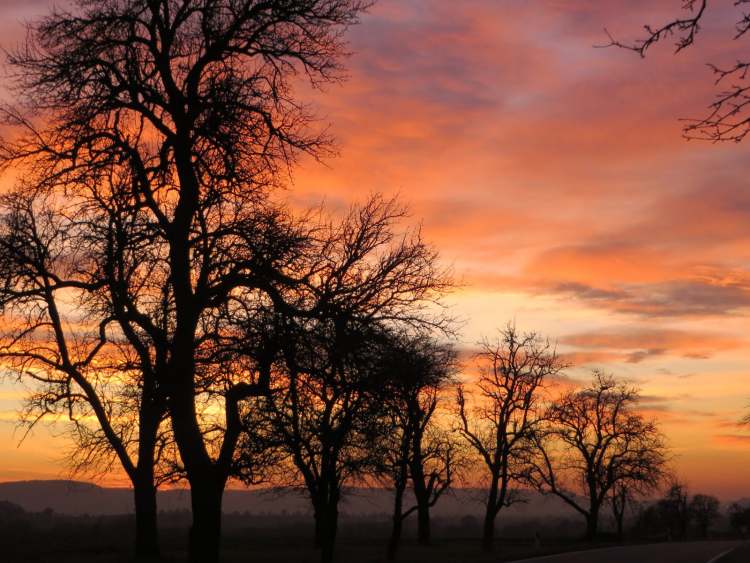 Abendrot Stimmung in Hohenlohe (Bitte hier klicken um dieses Bild in seiner vollen Größe zu betrachten)