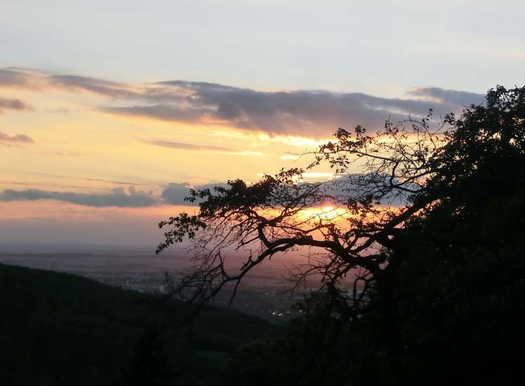 Abendstimmung mit der untergehenden Sonne (Bitte hier klicken um dieses Bild in seiner vollen Größe zu betrachten)