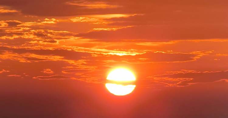 alles in orange - Abendstimmung untergehende Sonne (Bitte hier klicken um dieses Bild in seiner vollen Größe zu betrachten)