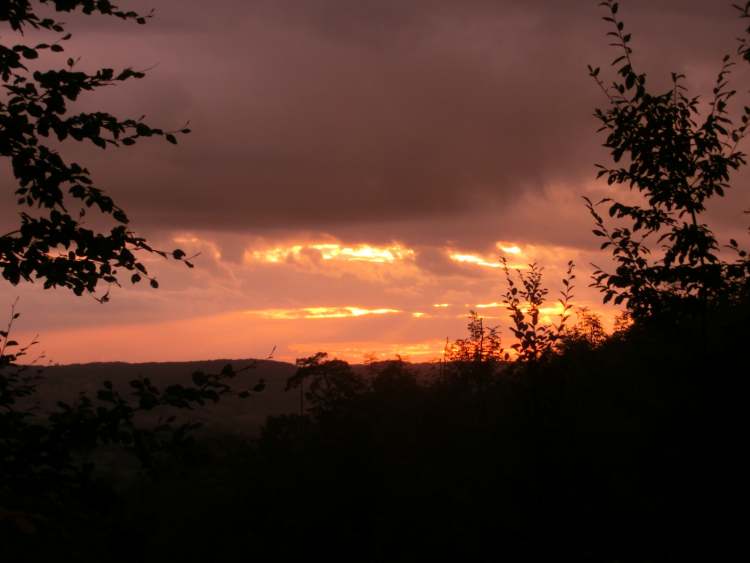 Abends im Wald der glühende Himmel (Bitte hier klicken um dieses Bild in seiner vollen Größe zu betrachten)