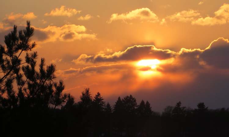 der perfekte Sonnenuntergang (Bitte hier klicken um dieses Bild in seiner vollen Größe zu betrachten)