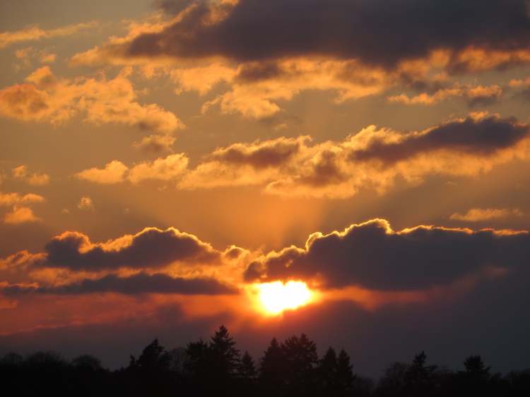 Sonnenuntergang mit Wolken über dem Wald (Bitte hier klicken um dieses Bild in seiner vollen Größe zu betrachten)