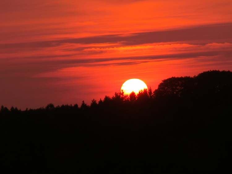 Sonne geht unter (Bitte hier klicken um dieses Bild in seiner vollen Größe zu betrachten)