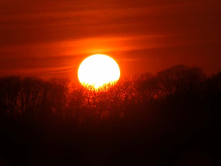 Sonne verschwindet hinter Wald (Bitte hier klicken um dieses Bild in seiner vollen Größe zu betrachten)