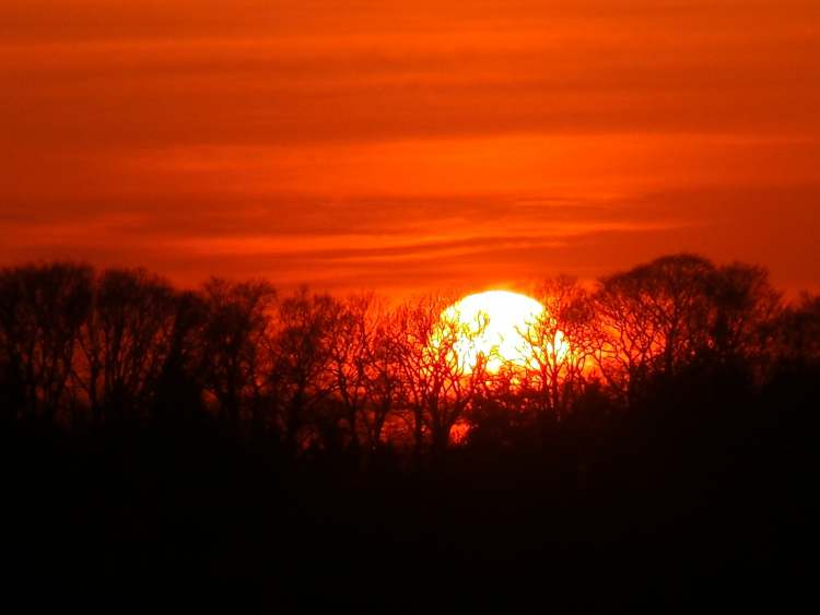 Sonne hinter Wald (Bitte hier klicken um dieses Bild in seiner vollen Größe zu betrachten)