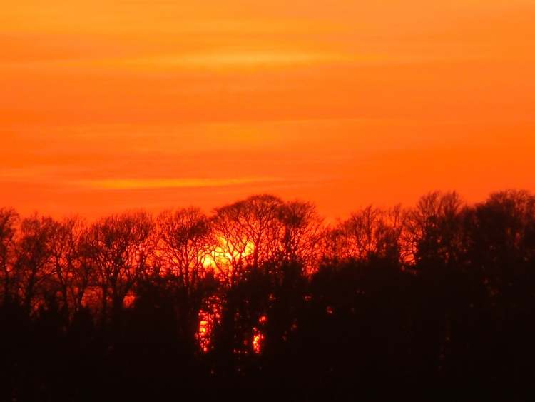 Sonne ist schon unter dem Wald (Bitte hier klicken um dieses Bild in seiner vollen Größe zu betrachten)