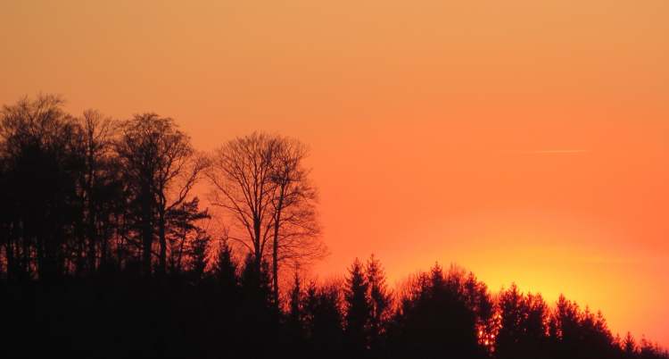 Sonnenhimmel am Abend hinter Wald (Bitte hier klicken um dieses Bild in seiner vollen Größe zu betrachten)