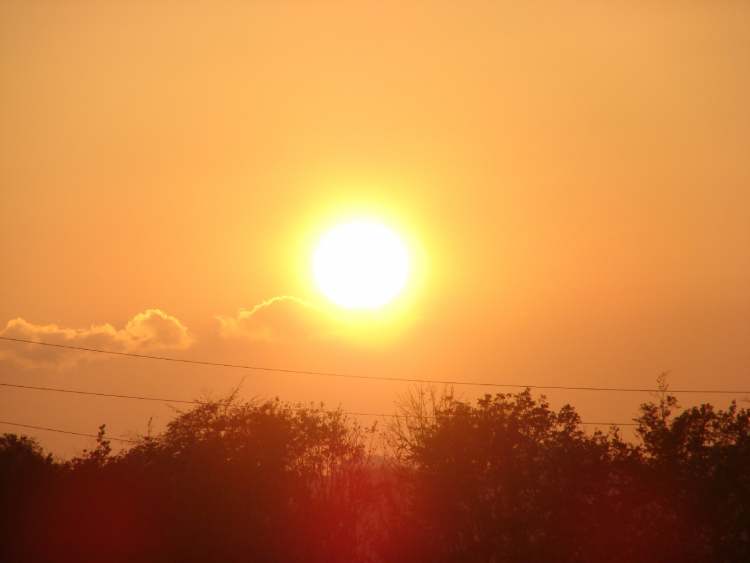 die strahlende Sonne (Bitte hier klicken um dieses Bild in seiner vollen Größe zu betrachten)