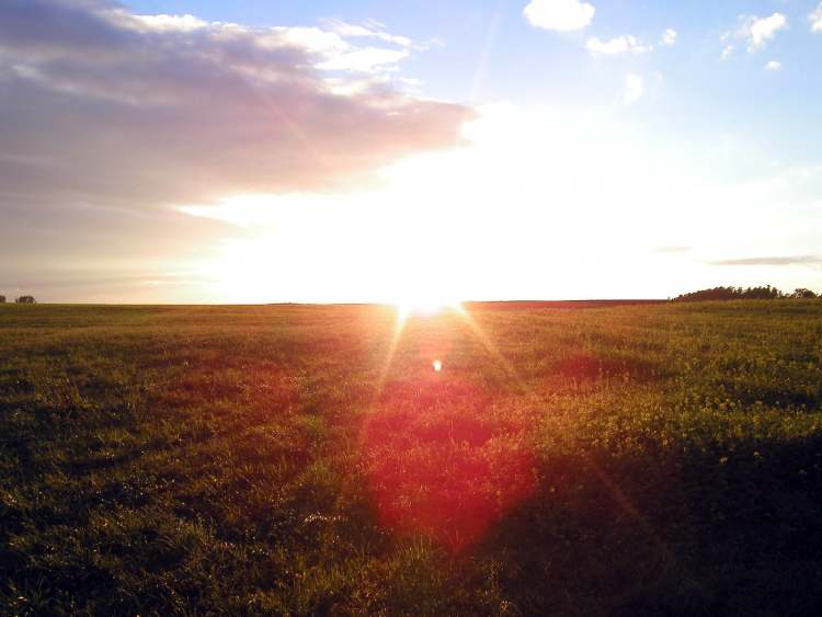die Sonne geht hinter dem Feld unter (Bitte hier klicken um dieses Bild in seiner vollen Größe zu betrachten)
