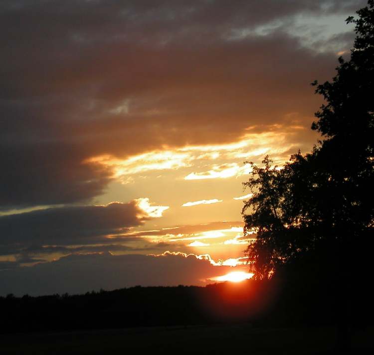 Wolkenaufriss für die Abendsonne (Bitte hier klicken um dieses Bild in seiner vollen Größe zu betrachten)