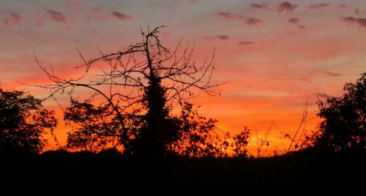 der leuchtende Sonnenuntergang (Bitte hier klicken um dieses Bild in seiner vollen Größe zu betrachten)