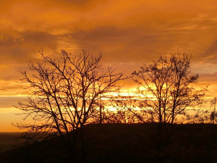 Sonnenaufgang hinter Bäumen (Bitte hier klicken um dieses Bild in seiner vollen Größe zu betrachten)