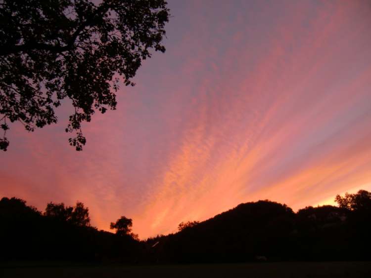 Sonnenuntergang hinter dem Hügelwald (Bitte hier klicken um dieses Bild in seiner vollen Größe zu betrachten)