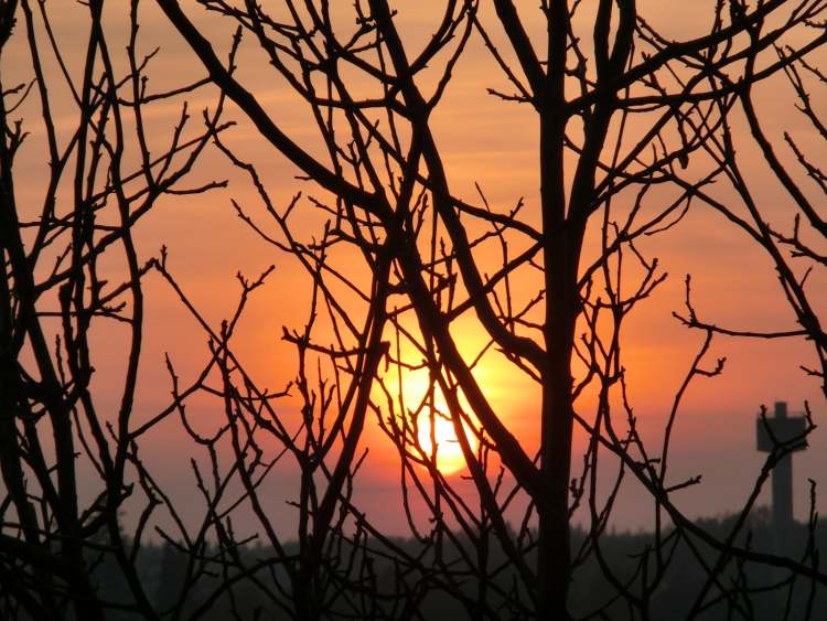 Sonnenuntergang hinter Ästen (Bitte hier klicken um dieses Bild in seiner vollen Größe zu betrachten)