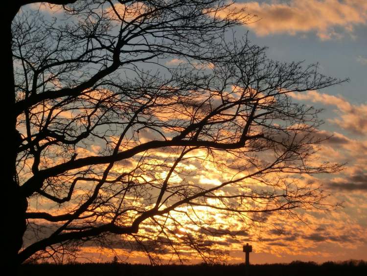 Sonnenuntergang mit Baum (Bitte hier klicken um dieses Bild in seiner vollen Größe zu betrachten)