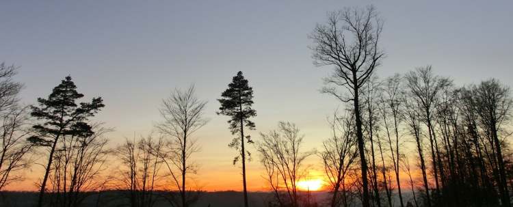 der Waldsonnenuntergang (Bitte hier klicken um dieses Bild in seiner vollen Größe zu betrachten)