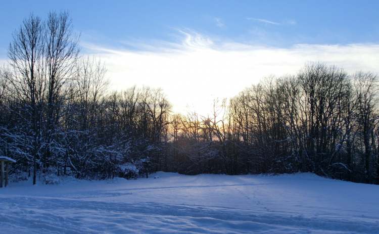 Abend im Winterwald (Bitte hier klicken um dieses Bild in seiner vollen Größe zu betrachten)