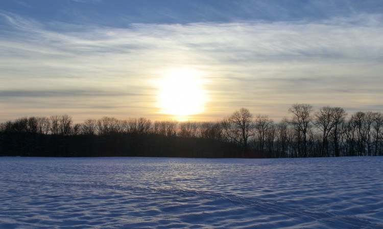 Sunset über dem Winterwaldrand (Bitte hier klicken um dieses Bild in seiner vollen Größe zu betrachten)