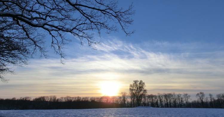 Sunset am Winterwaldrand (Bitte hier klicken um dieses Bild in seiner vollen Größe zu betrachten)
