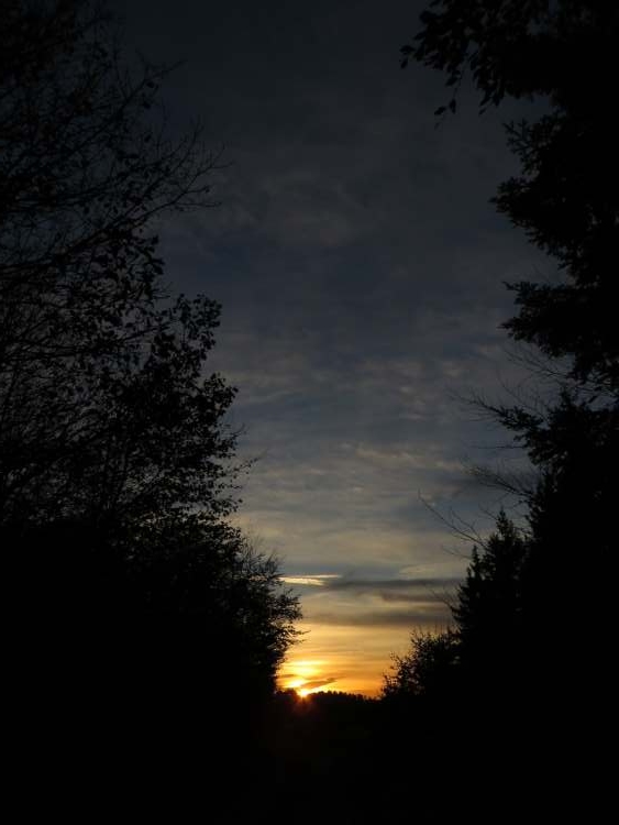 dunkler Sonnenuntergang (Bitte hier klicken um dieses Bild in seiner vollen Größe zu betrachten)