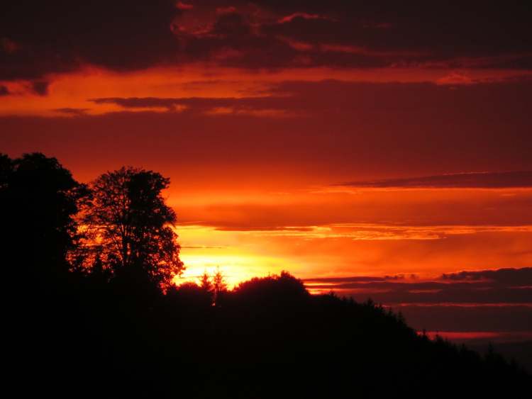 der schöne Sonnenuntergang (Bitte hier klicken um dieses Bild in seiner vollen Größe zu betrachten)