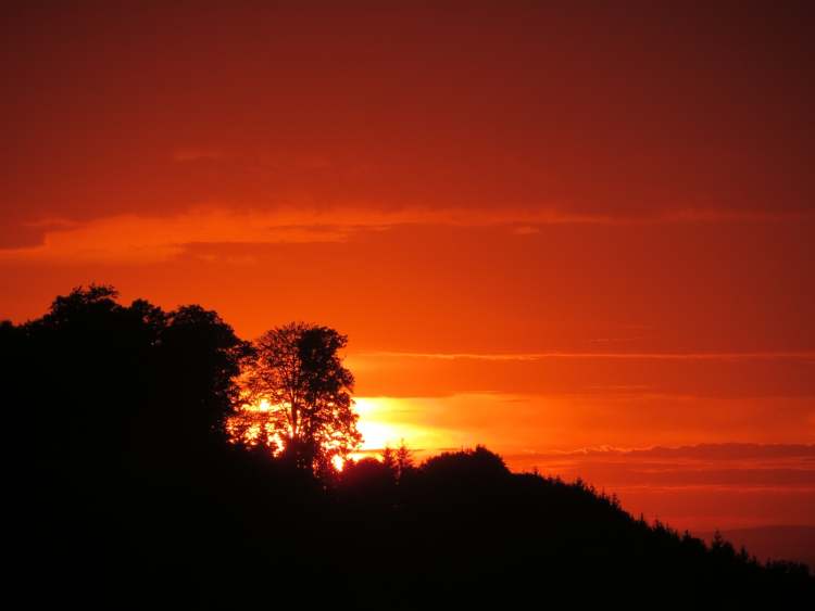 Roter Sonnenuntergang (Bitte hier klicken um dieses Bild in seiner vollen Größe zu betrachten)