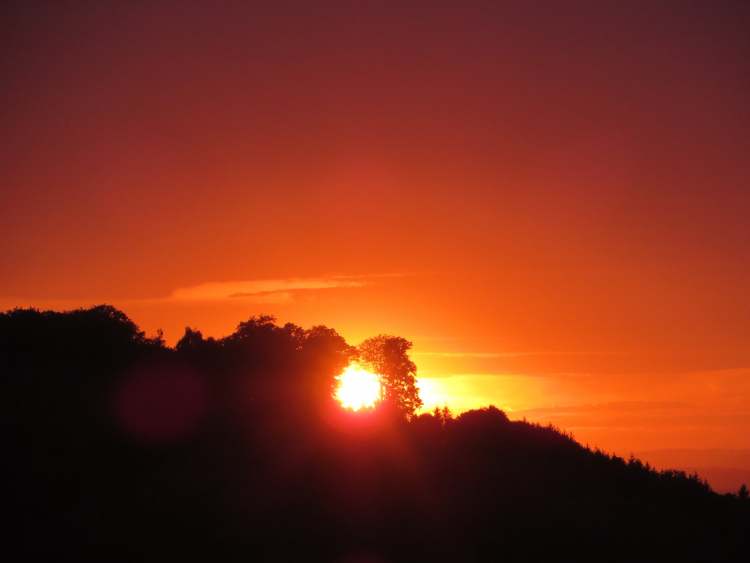 Roter Sonnenuntergang durch Bäume (Bitte hier klicken um dieses Bild in seiner vollen Größe zu betrachten)