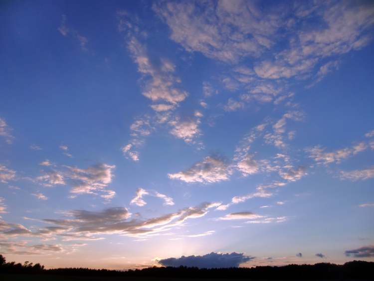 heitere Abendwolken (Bitte hier klicken um dieses Bild in seiner vollen Größe zu betrachten)
