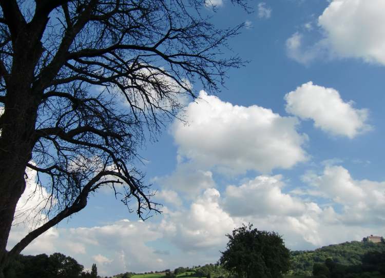 Ein Baum, ein Land und Wolken am Himmel (Bitte hier klicken um dieses Bild in seiner vollen Größe zu betrachten)