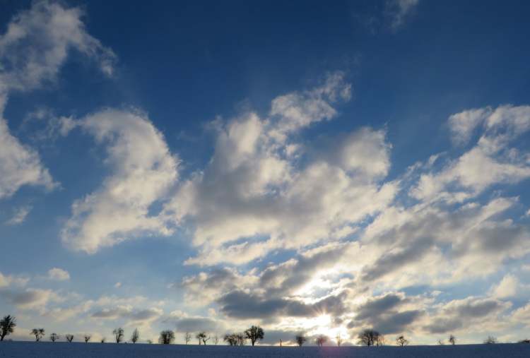 Winterhimmel mit Bäumen (Bitte hier klicken um dieses Bild in seiner vollen Größe zu betrachten)