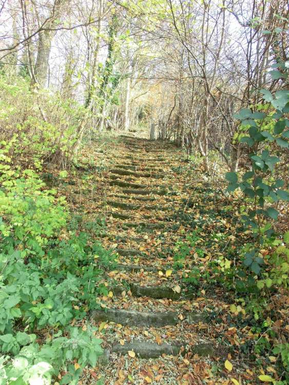 Herbststeintreppe (Bitte hier klicken um dieses Bild in seiner vollen Größe zu betrachten)